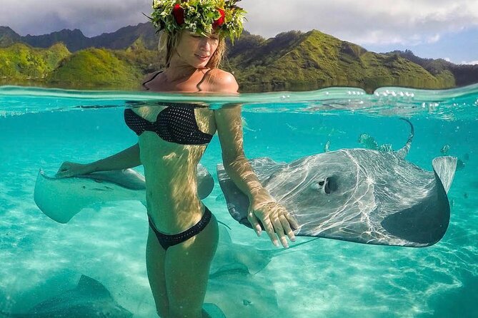 Lagoon Tour in Moorea in Small Group with Lunch - Outer reef drop-off: open-water swim with blacktip sharks, possibly lemon sharks