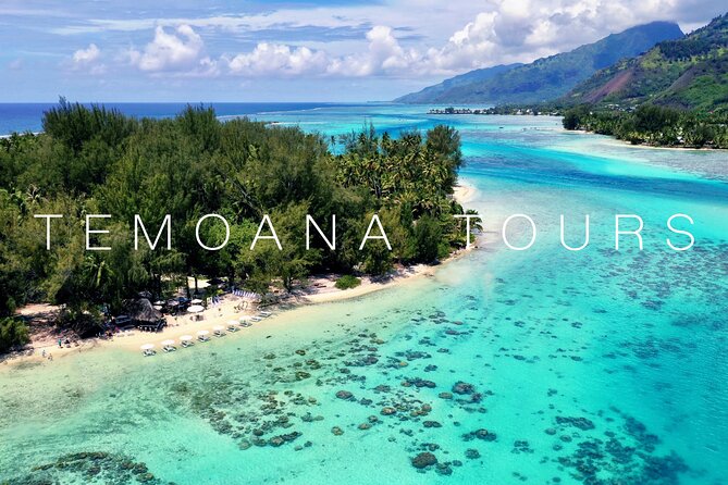 Lagoon Tour + lunch with your feet in the water on a Motu - Stop 2: turtles without the guesswork