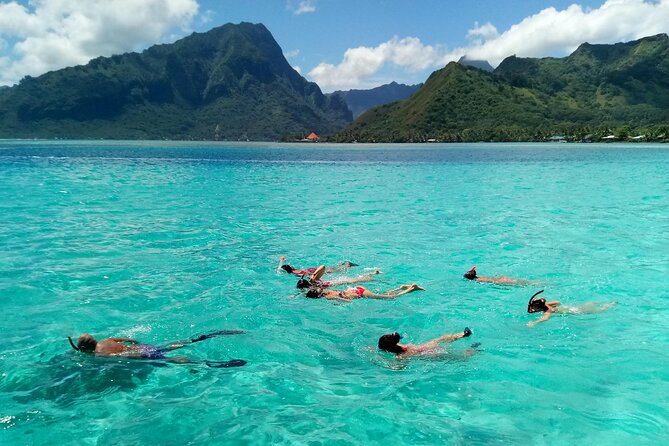 Land and Sea cultural tour to discover traditions, heritage and the lagoon - What makes this tour feel authentic: small group learning, not a crowded rush