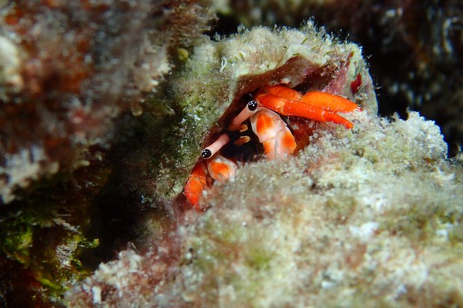 Luxury Full Day Snorkeling - Boat size, privacy, and why it matters for snorkeling quality