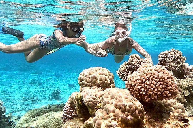 LUXURY PRIVATE Catamaran : Full-Day Sail & Polynesian Motu Lunch - How the 6-hour timeline works for your day