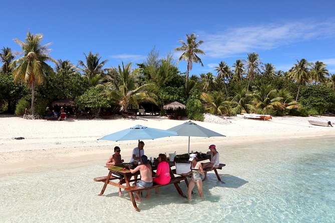 LUXURY PRIVATE Catamaran : Full-Day Sail & Polynesian Motu Lunch - The Vitamin Sea sailing segment: comfort, photos, and real lagoon time