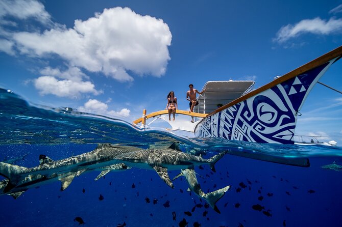 Luxury Private full day tour & Motu lunch in Bora-Bora - Morning: 4 hours of snorkeling, sting rays, and coral-garden fish