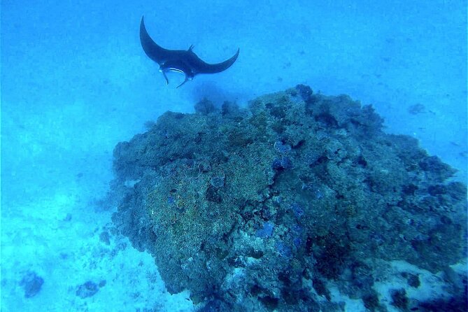 Magical Boat Tour with Underwater Cabin in Bora Bora! - Your 3-Hour Schedule, Pickup Included, What Happens When