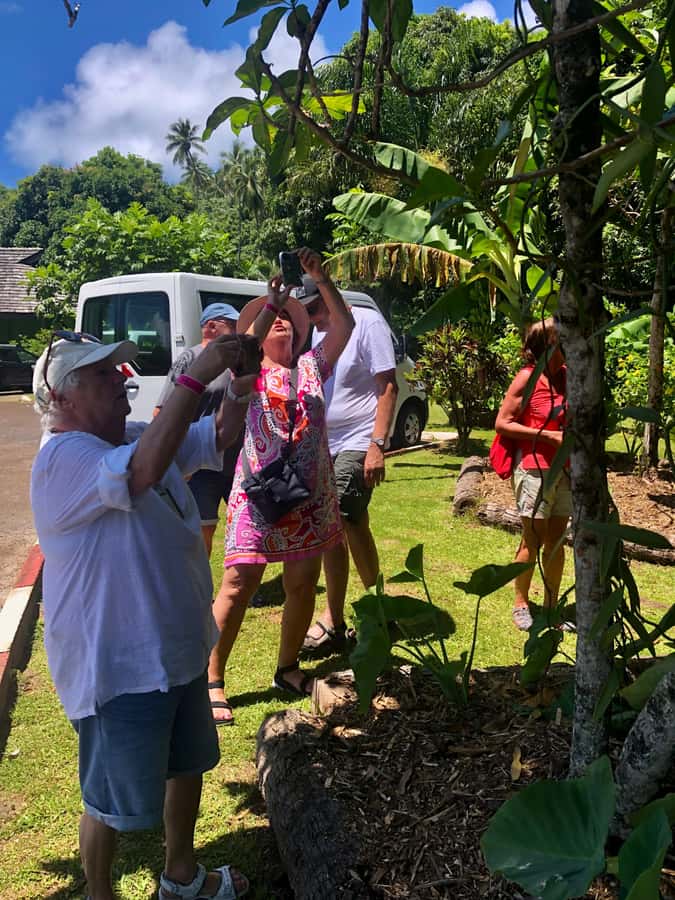 Mirimiri Tours: Visits, Surprises, Swimming and Sunset - Who this tour is for, and who should skip it