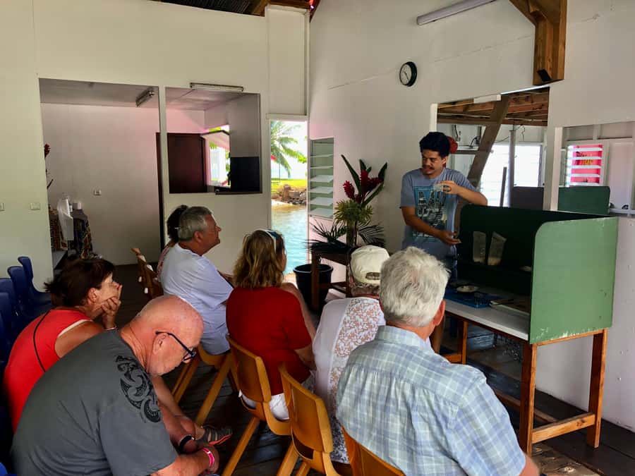 Mirimiri Tours: Visits, Surprises, Swimming and Sunset - Polysis food moments, fruits and local beer, plus a culinary surprise