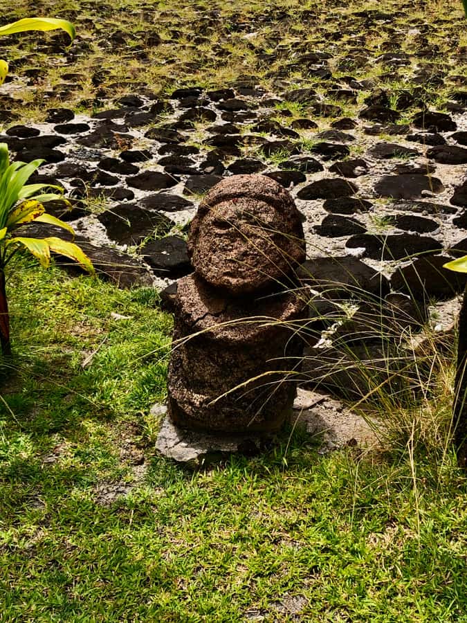 Mirimiri Tours: Visits, Surprises, Swimming and Sunset - Pearl farm to Botanical garden, then the Faaroa River story