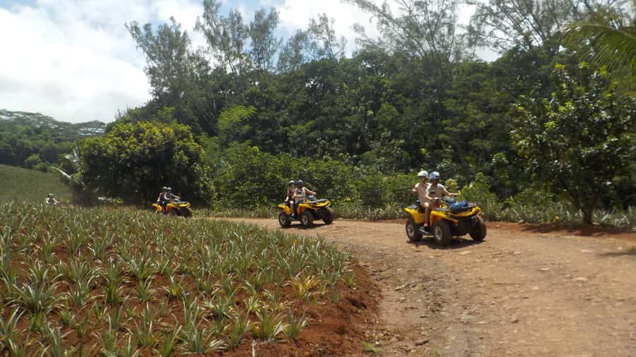 Mo'orea: Guided ATV Nature Tour - Key things that make this ATV tour worth your time