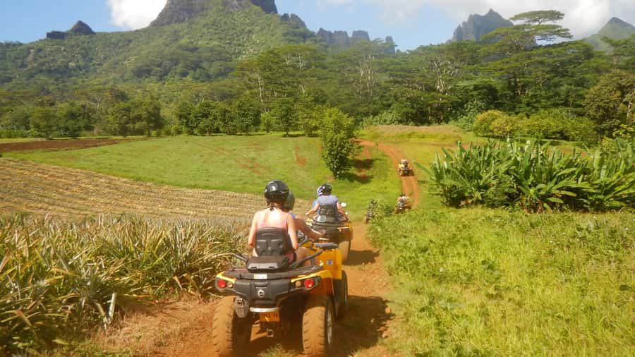 Mo'orea: Guided ATV Nature Tour - Returning across fields to Opunohu Bay