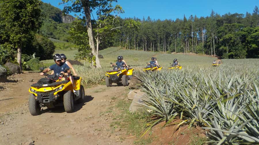 Mo'orea: Guided ATV Nature Tour - The ride plan: what happens in your 210 minutes