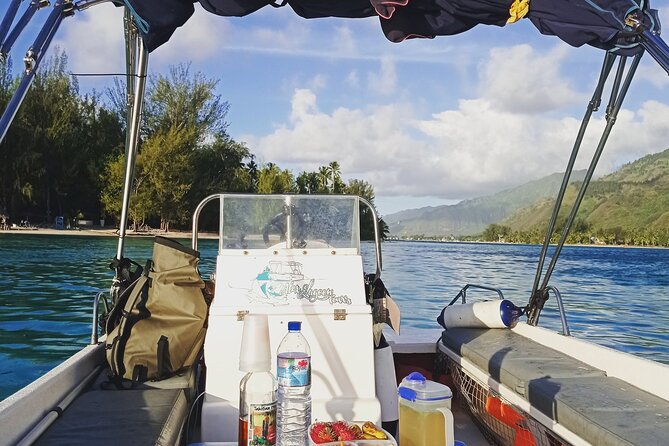 Mo'orea Half Day Private Tour with Snorkeling and Cruising the Lagoon - Stop one: the turtles spot and that first, calm entry