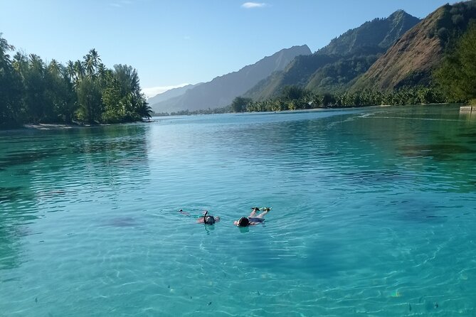 Mo'orea Half Day Private Tour with Snorkeling and Cruising the Lagoon - Price and value: what $668.05 per group really means