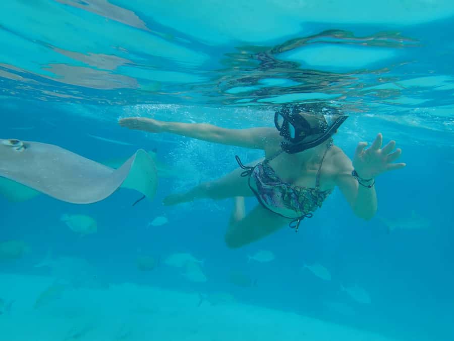 Moorea 4H Shared Boat Tour Whale Swimming and Snorkeling - What actually happens during the whale swim window