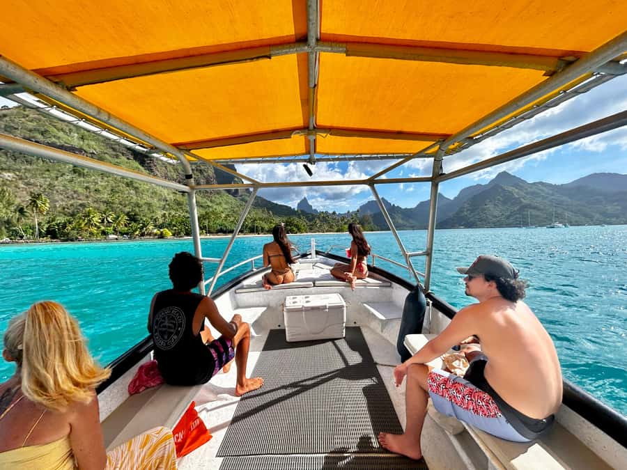 Moorea 4H Shared Boat Tour Whale Swimming and Snorkeling - The 4-hour structure that keeps the day from dragging