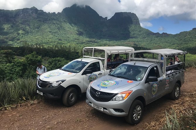Moorea 4WD Tour Inc. Belvedere, Pineapple Farm, Magic Mountain... - Key things to look forward to