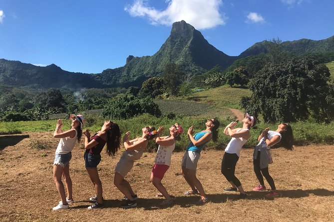 Moorea 4WD Tour Inc. Belvedere, Pineapple Farm, Magic Mountain... - Pineapple fields and the Tropical Garden tasting stop