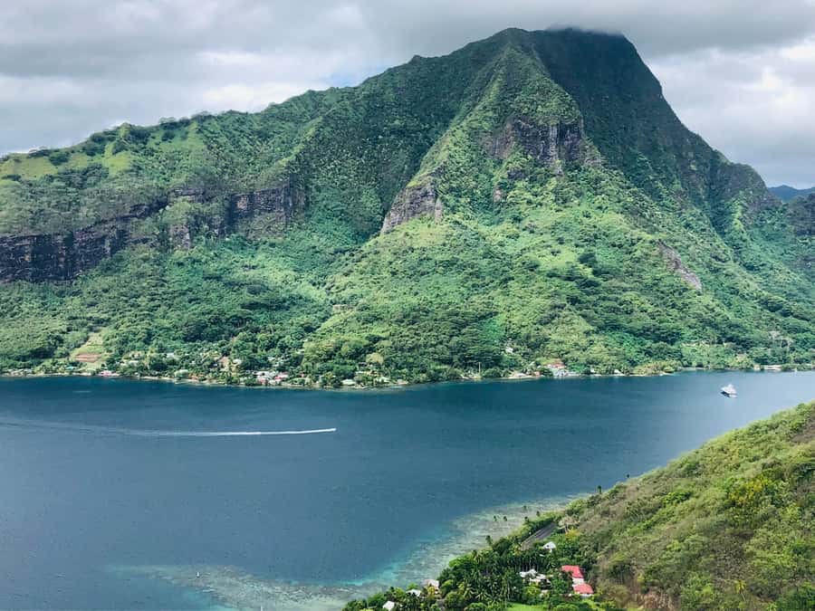 Moorea:4X4 safari excursion between land and sea with lunch - Opunohu Valley Stops, Pineapple Fields, and the Eel Moment
