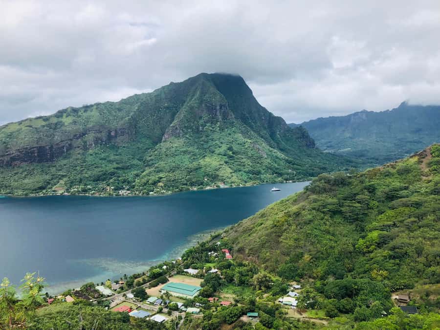Moorea:4X4 safari excursion between land and sea with lunch - Belvedere Views Over Cook’s Bay and Opunohu Bay