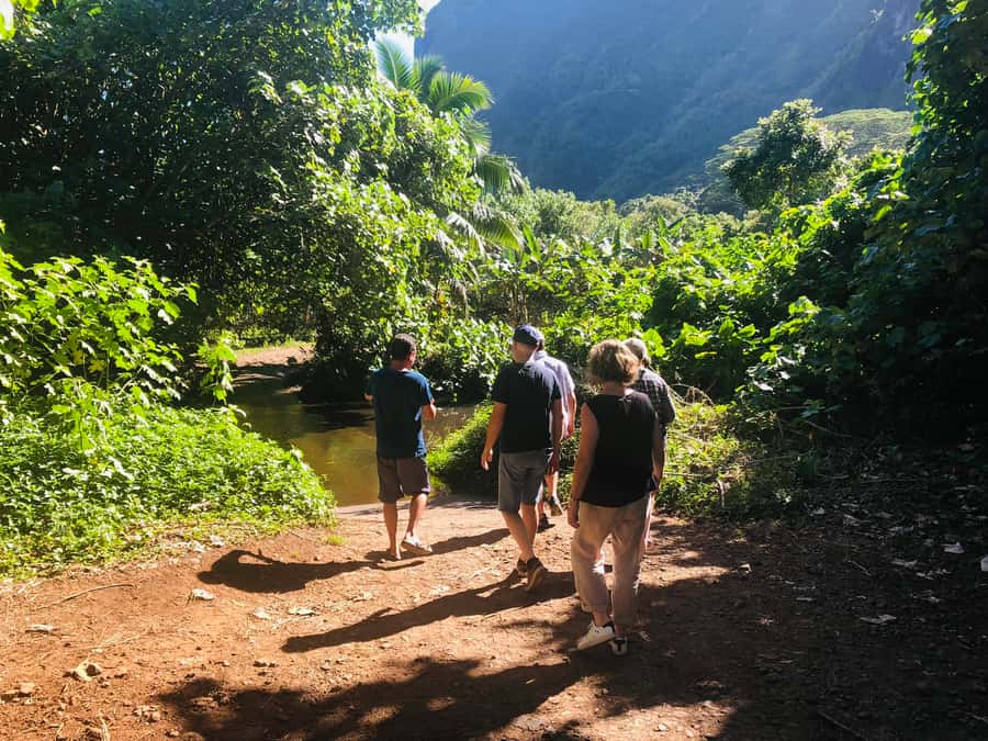 Moorea:4X4 safari excursion between land and sea with lunch - Tropical Garden Lunch with Typical Polynesian Dishes and 360 Views