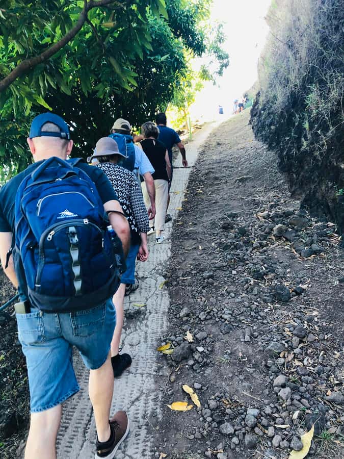 Moorea:4X4 safari excursion between land and sea with lunch - Pearl Shopping Stop Before You Head Back to Your Accommodation
