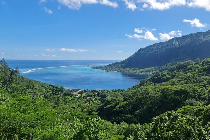 Moorea Aito 4WD Safari Tour - Half day - Lycée Agricole: Fruit Juices, Jams, and the Vanilla-Pineapple Reality
