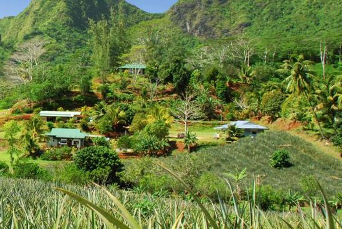 Moorea Aito 4WD Safari Tour - Half day - Marae Temples: Stone Platforms and Respectful Polynesian Sites