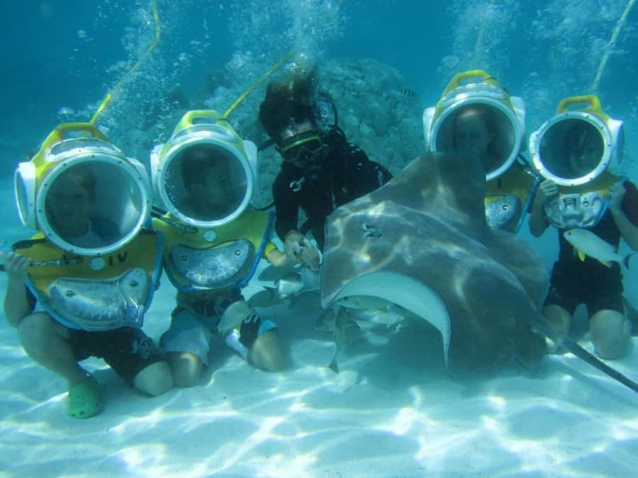 Moorea: Aquablue Helmet Underwater Walking Experience - Key Highlights to Know Before You Go