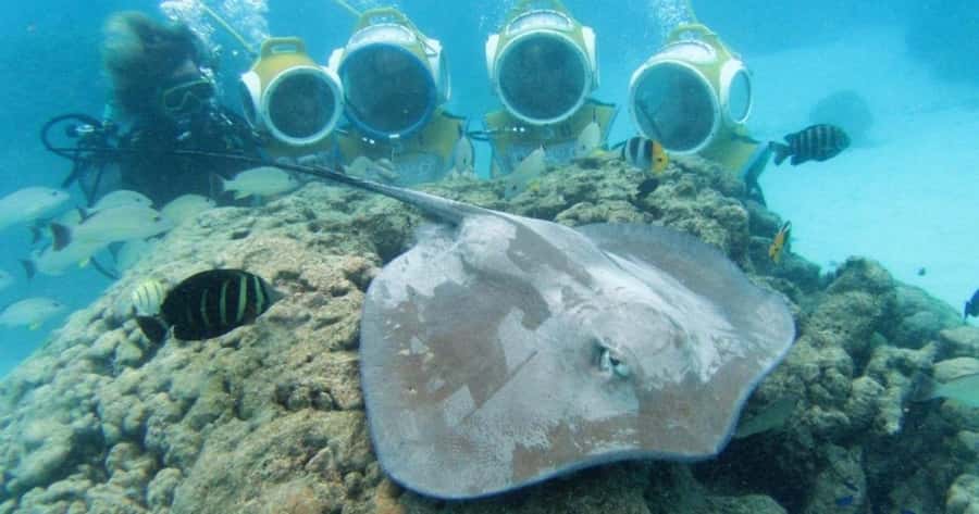 Moorea: Aquablue Helmet Underwater Walking Experience - Why Moorea’s Helmet Walk Beats Typical Snorkeling