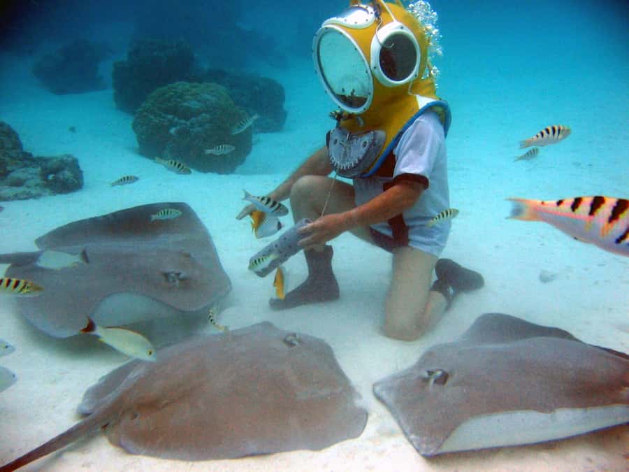 Moorea: Aquablue Helmet Underwater Walking Experience - Stingray Feeding: The Moment That Makes It Worth It
