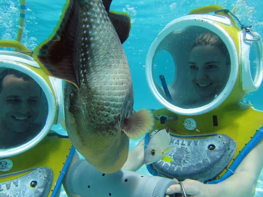 Moorea: Aquablue Helmet Underwater Walking Experience - Safety, Instruction, and Why the Small Group Helps