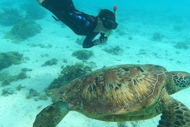 Moorea Combo 3 hours Jet Ski & 3 hours 30 ATV - The Guides: Why Small Groups Feel Better on Moorea