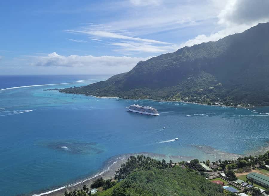 Moorea Cruise Ships 4x4, Belvedere Magic mount PRIVATE Tours - Pineapple country: farms, panoramic views, and the production-style stops