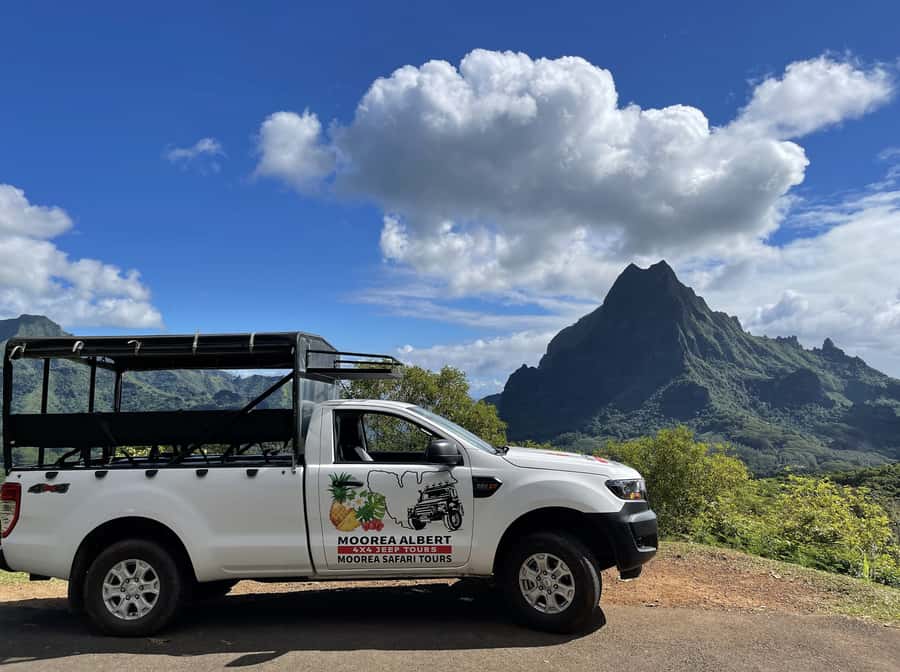 Moorea Cruise Ships: 4x4, Belvedere,Magic Mountain pineaple - Rivers and Freshwater Eel Feeding, Plus Marae Temple Culture