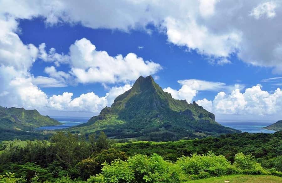 Moorea Cruise Ships: 4x4, Belvedere,Magic Mountain pineaple - Price, Value, and Why 4 Hours Can Feel Like More