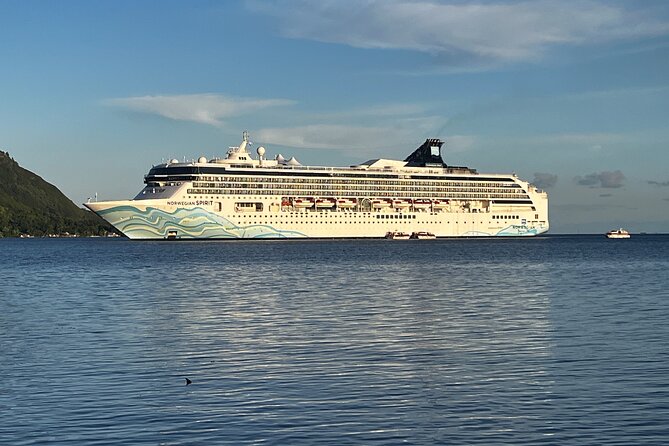 Moorea Cruise Ships: 4x4, Belvedere, Pineapple, & Magic Mountain - Stop 1: Belvedere Lookout for History, Flora, and First Big Views