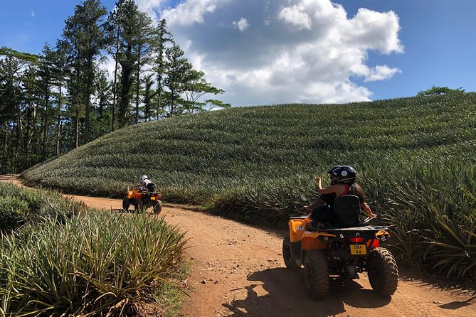 Moorea Explorer Atv Quad Tour - Guide Energy and Route Style: What You Can Expect From Names Like Mata and Louis
