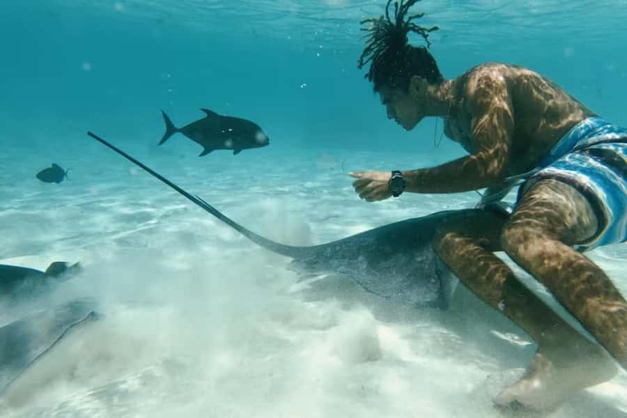 Moorea: Glass Bottom Boat Adventure with Lagoon Wonders - Sand bar snorkeling: grey rays and black tip reef sharks without the rush