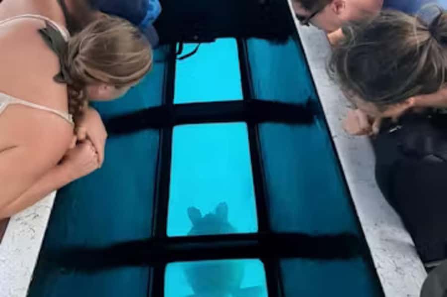 Moorea: Glass Bottom Boat Adventure with Lagoon Wonders - Underwater tiki sculptures: more than pretty objects