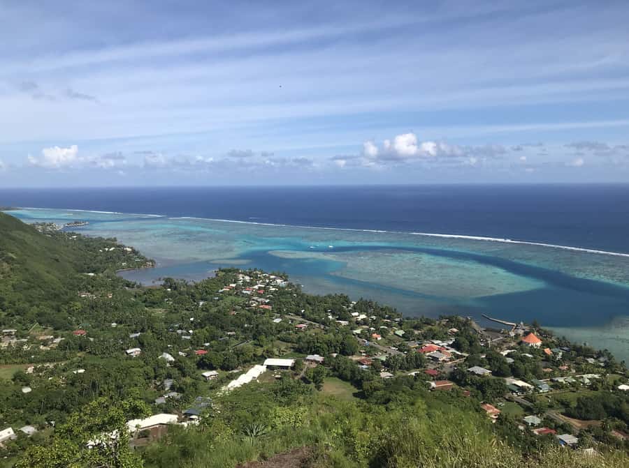 Moorea: Half-Day Open-Air 4WD Safari with Hotel Transfers - Eels in the river, and that unforgettable hands-on moment