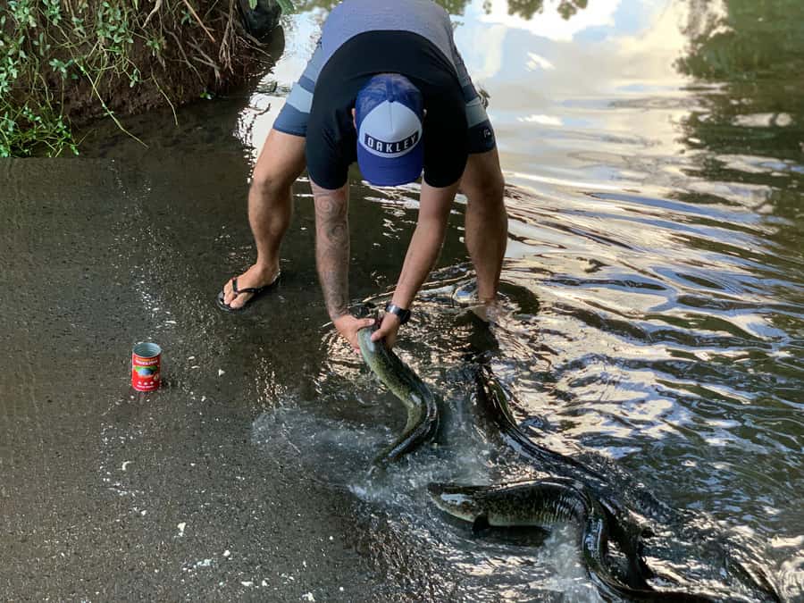 Moorea: Half-Day Open-Air 4WD Safari with Hotel Transfers - Winery, fruit liqueurs, jams, and the tastings you actually want