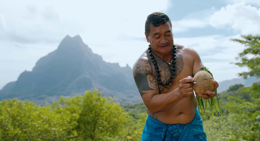 Moorea: Half-Day Open-Air 4WD Safari with Hotel Transfers - Getting picked up and dropped off without a headache