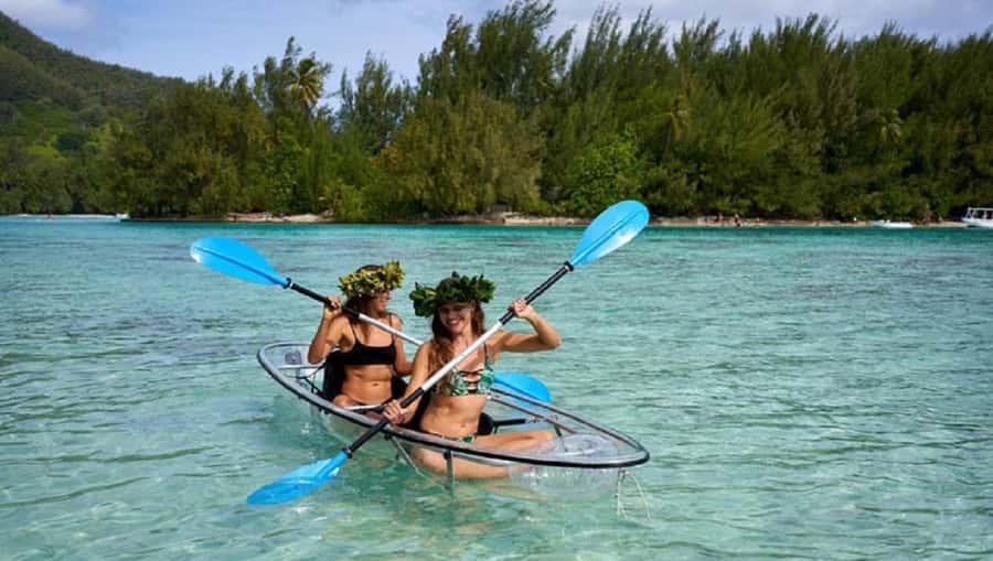 Moorea: Hauru Lagoon 3-hour Guided Kayak Tour with Snack - Fish, turtles, and rays: what makes the spotting feel different