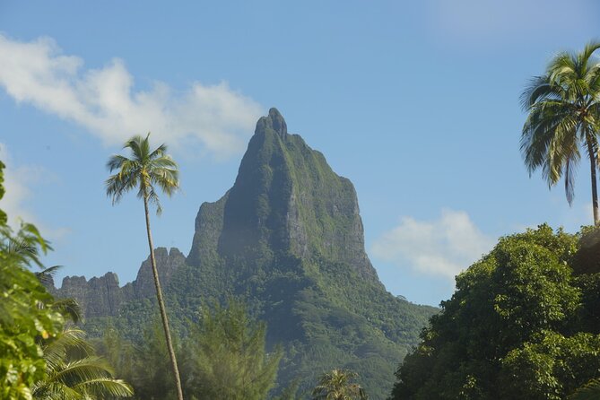 Moorea Highlights Private Tour: Natural and Cultural Attraction - Key highlights you will feel right away
