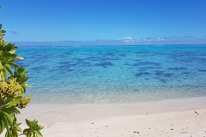 Moorea Highlights Private Tour: Natural and Cultural Attraction - Should you book Moorea Highlights Private Tour?