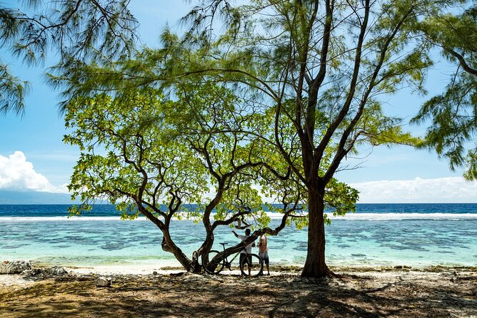 Moorea Highlights Private Tour: Natural and Cultural Attraction - From Papeete to Moorea: where your day starts