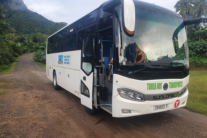 Moorea Island Tour - Moorea Island Tour at a Glance: Fast, Guided, and Cruise-Friendly