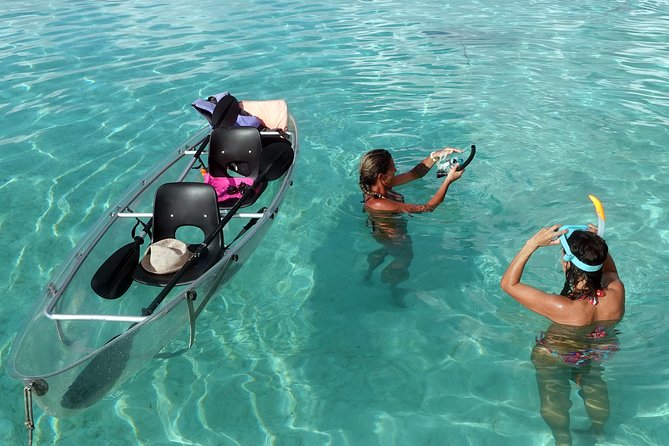 Moorea Lagoon Tour by Transparent Kayak - Who This Fits Best, and Who Should Rethink It