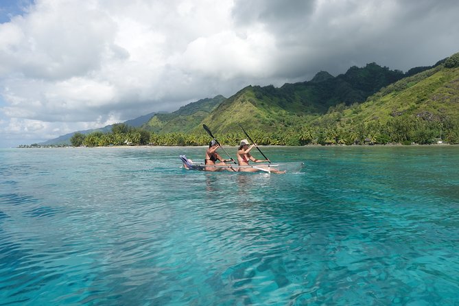 Moorea Lagoon Tour by Transparent Kayak - Practical Tips for a Smooth, Fun Lagoon Tour