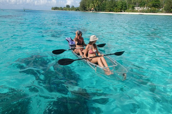 Moorea Lagoon Tour by Transparent Kayak - Should You Book the Moorea Lagoon Tour by Transparent Kayak?