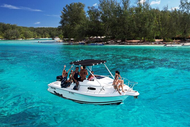 Moorea: Private 4-Hour High-End Boat Excursion - Walking the coral reef and the Haapiti passes for wave spots and possible dolphins